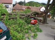 Kwikfynd Tree Cutting Services
gunnewin